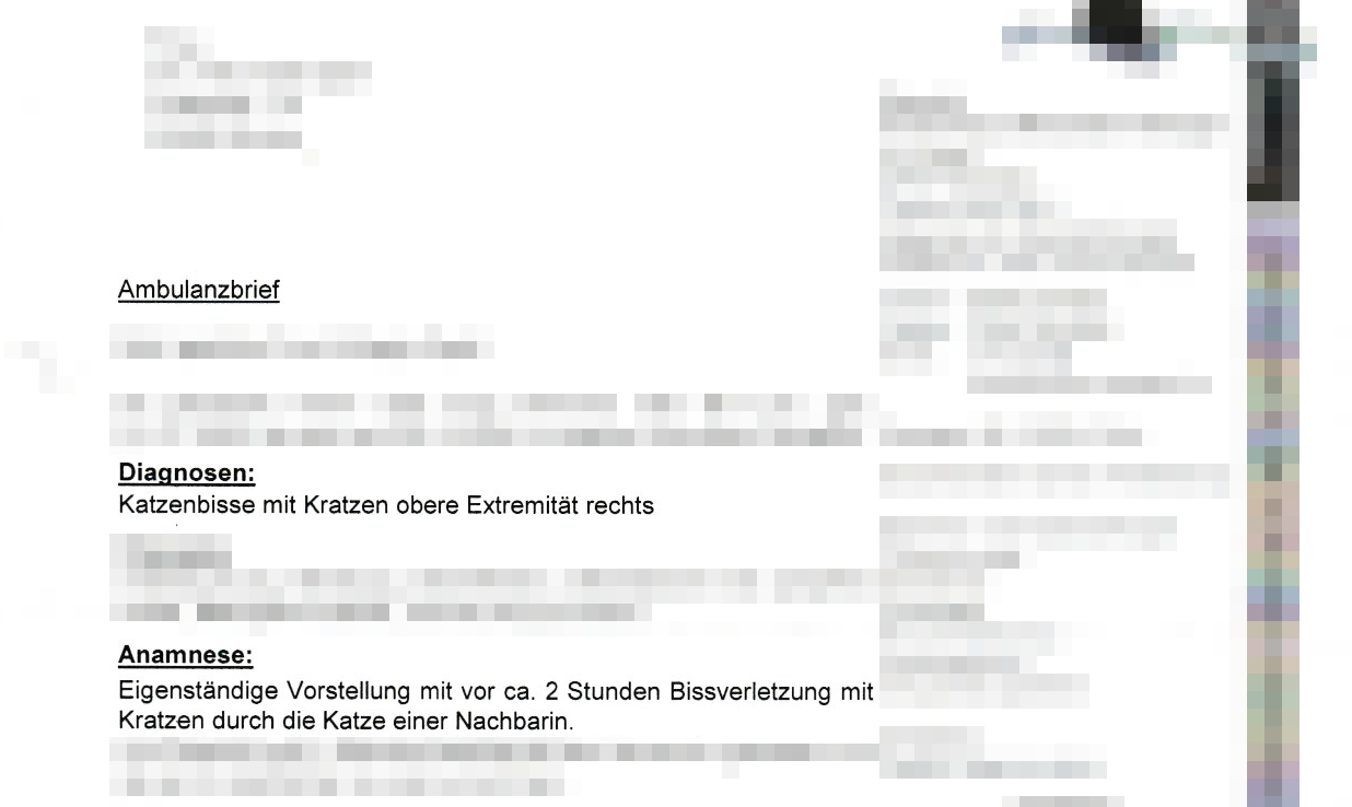 Auszug aus einem Ambulanzbrief: Katzenbisse mit Kratzen, obere Extremität rechts