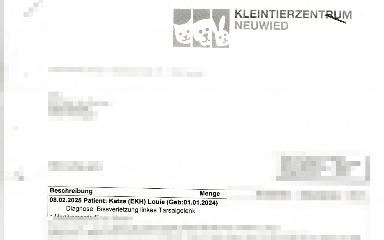 Tierarzt-Bericht zu einem früheren Bissvorfall bei Louie