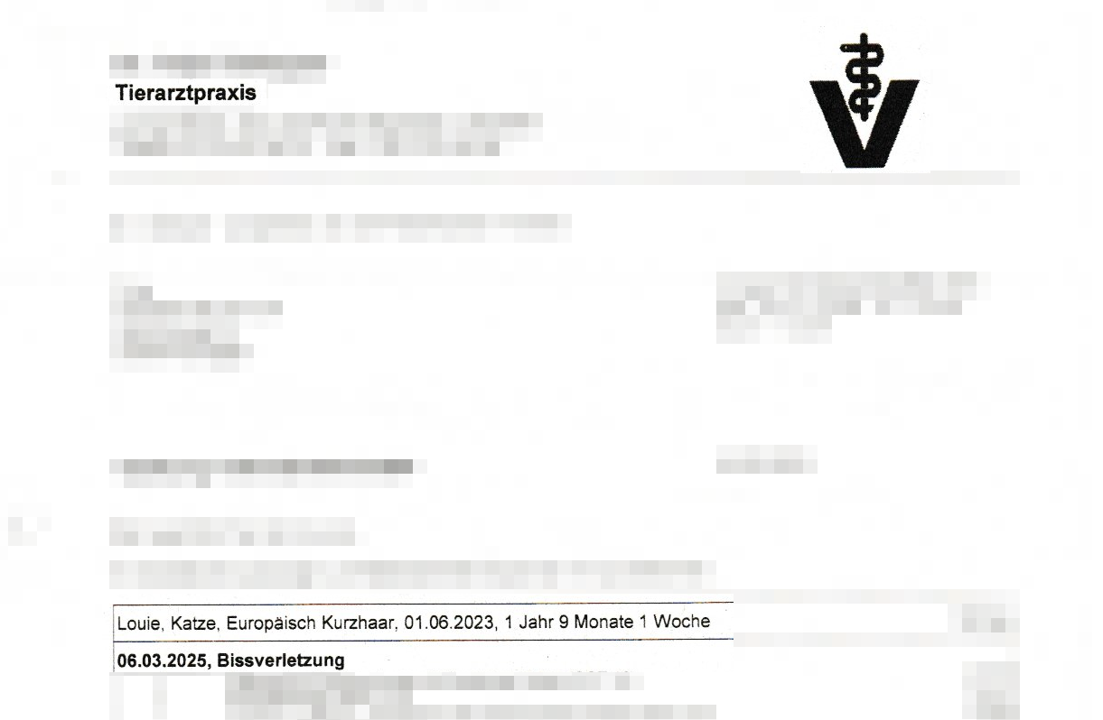 Weiterer Tierarzt-Bericht zu Louies früheren Bissverletzungen